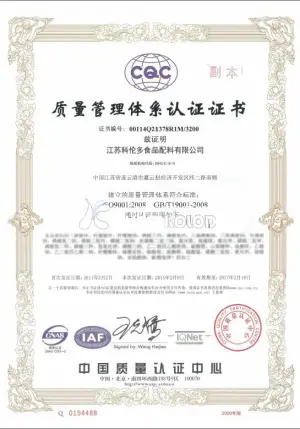 ISO9001(中文)