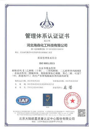 ISO9001(中文)