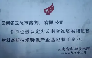 荣誉证书