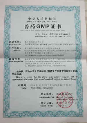 SFDA-GMP
