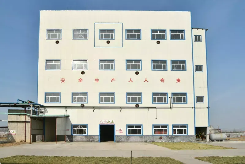 办公区域