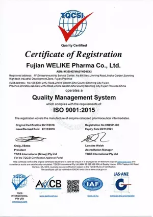 ISO9001(英文)