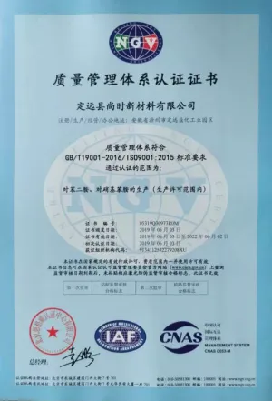 ISO9001(中文)