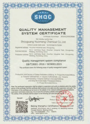 ISO9001(英文)