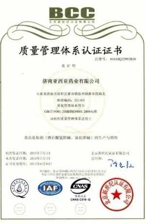 ISO9001(中文)