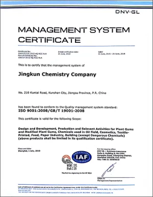 ISO9001(英文)