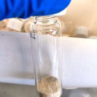 N-(2，4，6三氯苯基)马来酰亚胺