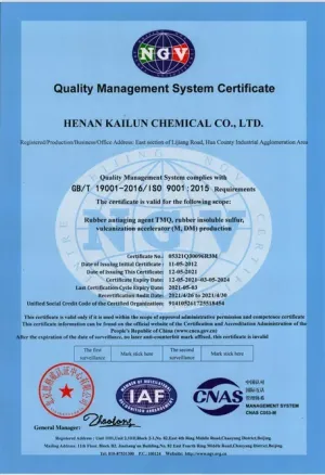 ISO9001(英文)