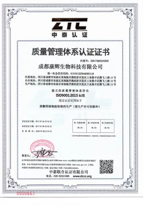 ISO9001(中文)