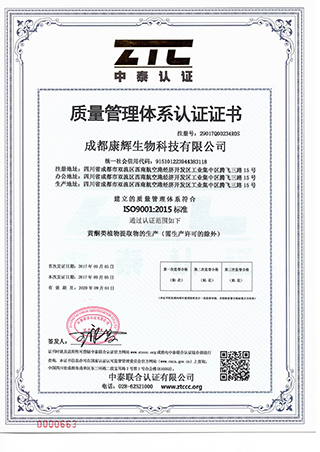 ISO9001(中文)