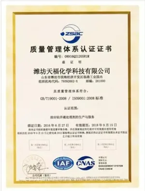 ISO9001(中文)