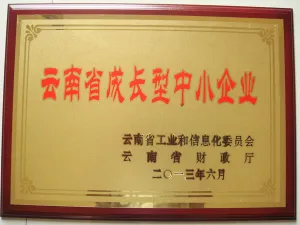 荣誉证书
