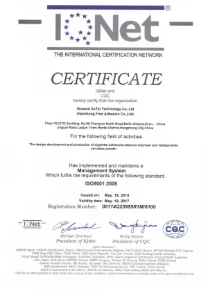 ISO9001(英文)