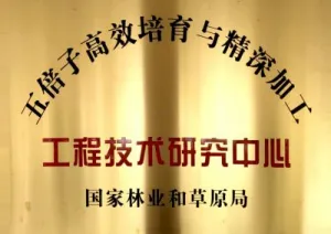 其他证书