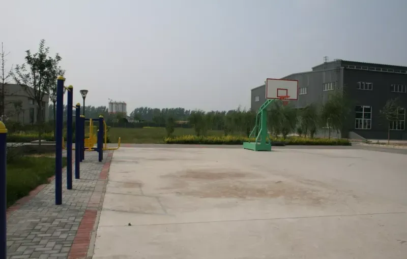 其他图片
