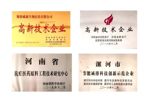 荣誉证书