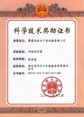 荣誉证书
