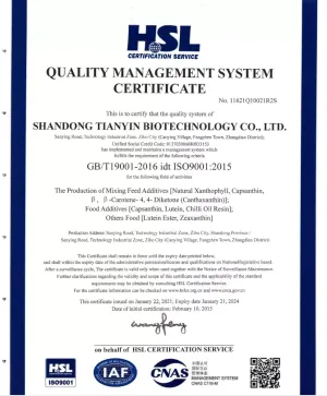 ISO9001(英文)
