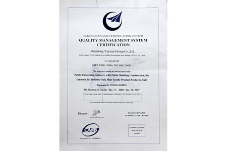 ISO9001(英文)
