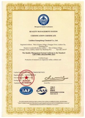 ISO9001(英文)