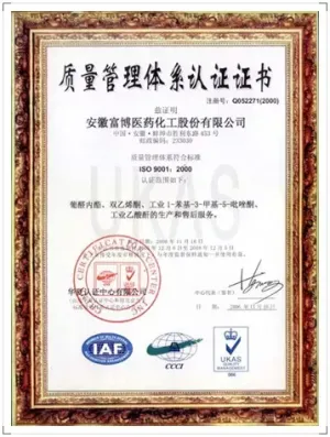 ISO9001(中文)