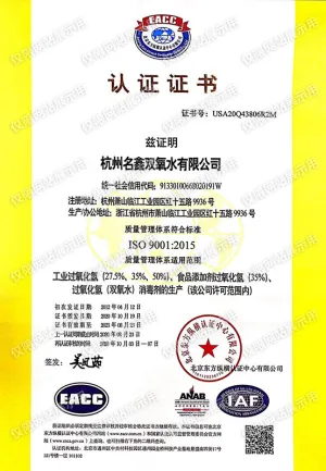 ISO9001(中文)