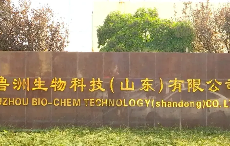 厂房大门