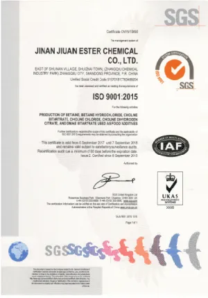 ISO9001(中文)