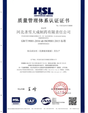 ISO9001(中文)