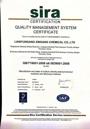 ISO9001(英文)