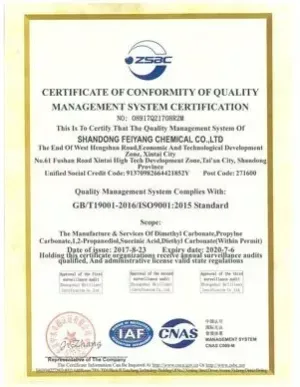 ISO9001(英文)