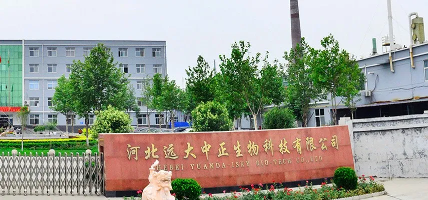 厂房大门