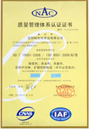 ISO9001(中文)