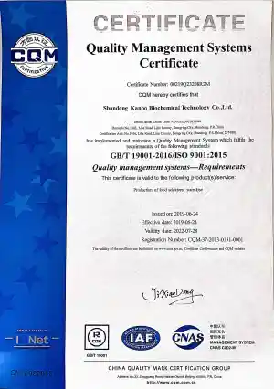 ISO9001(英文)