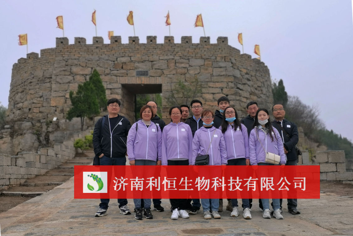 公司活动