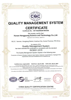 ISO9001(英文)