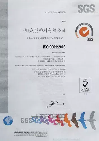 ISO9001(中文)