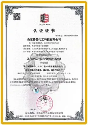 ISO9001(中文)