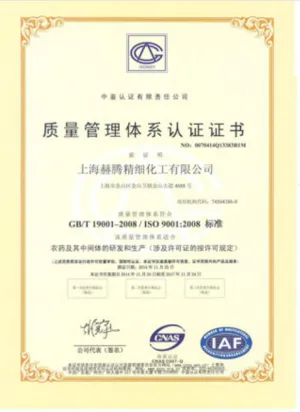 ISO9001(中文)