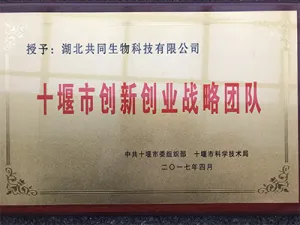 荣誉证书