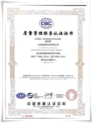 ISO9001(中文)
