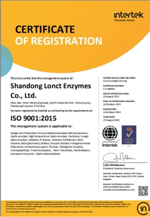 ISO9001(英文)