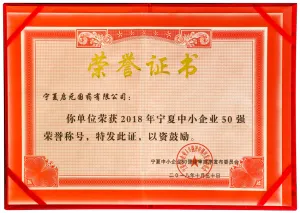 荣誉证书