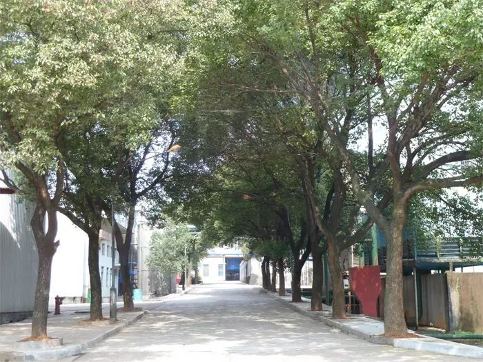 办公区域