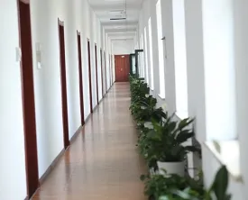 办公区域