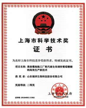 荣誉证书