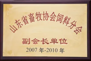 荣誉证书