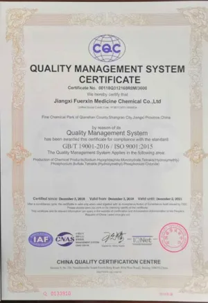 ISO9001(英文)