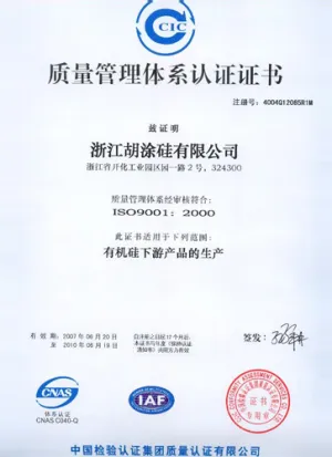 ISO9001(中文)