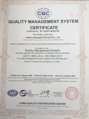 ISO9001(英文)
